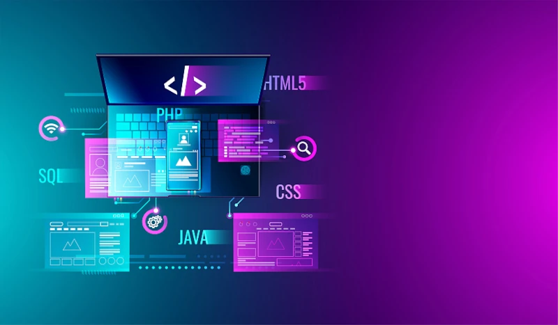 industry and specialization of software developers