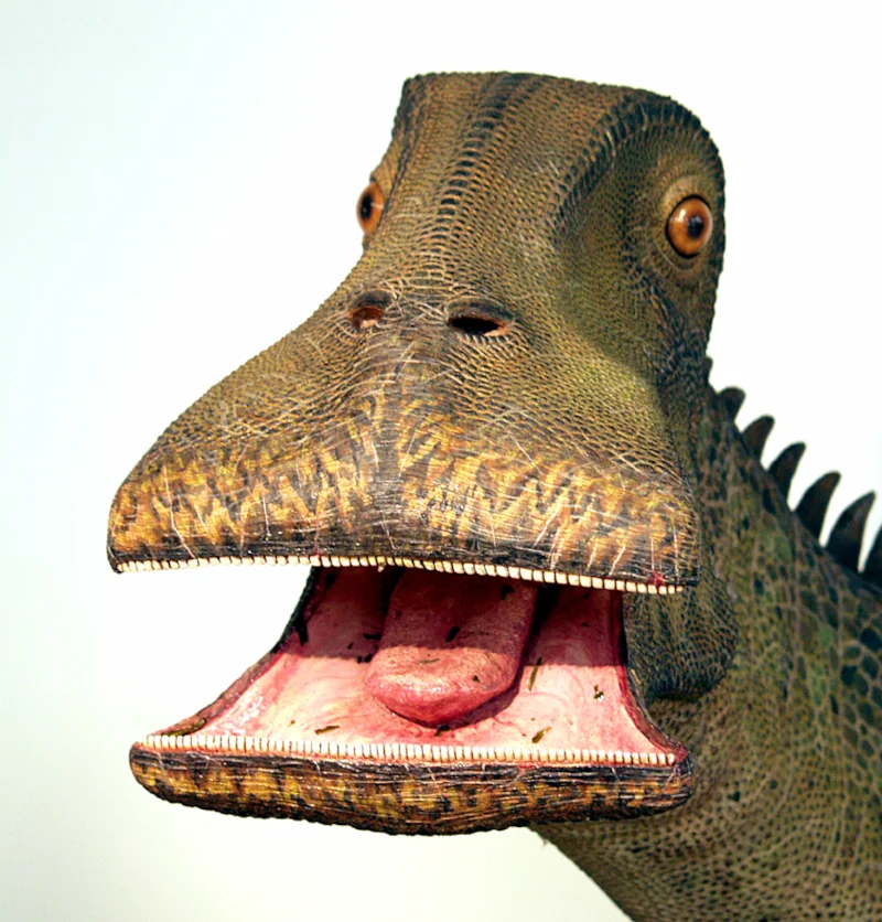 Dinosaur with 500 Teeth