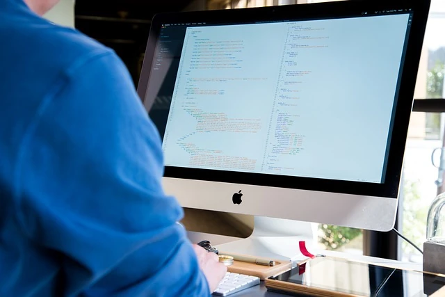 Back-end developers