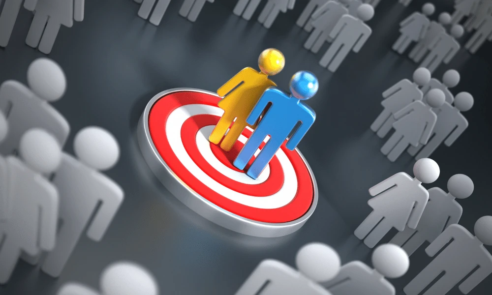 Identify Target Audience