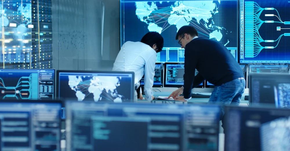 IT professionals