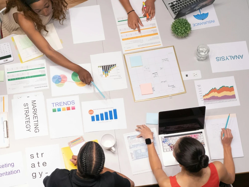 Analyse Case Studies and Previous Work