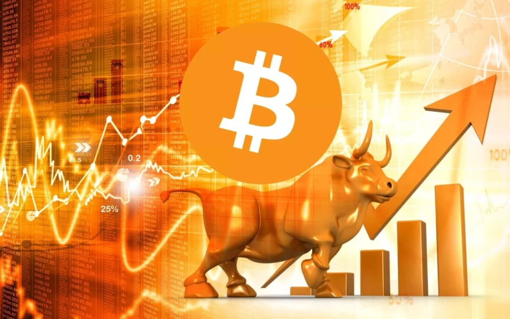 Bitcoin Bull Runs