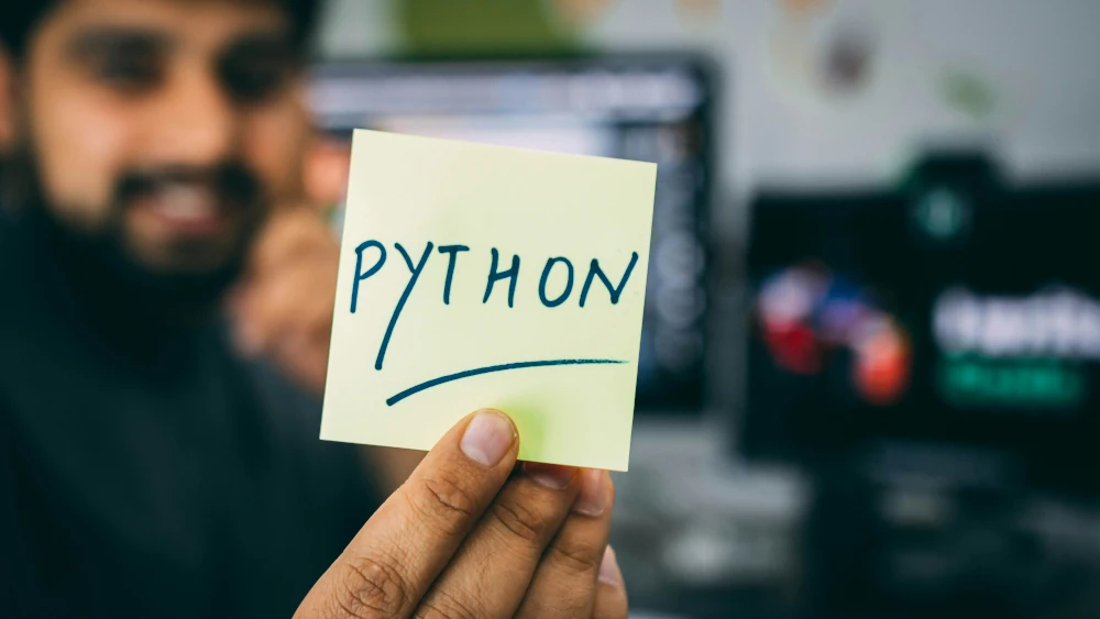 Python Developers in Software Engineering
