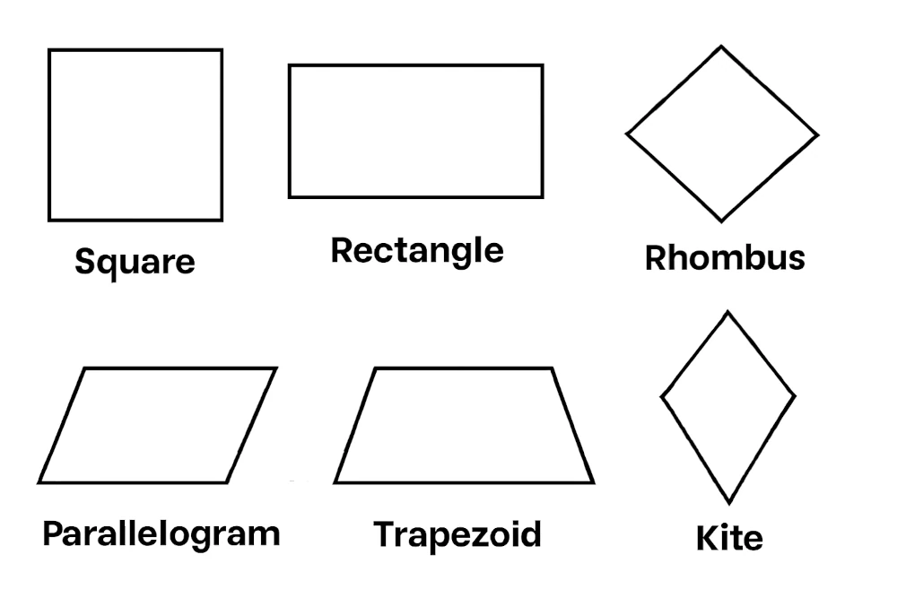 Quadrilateral