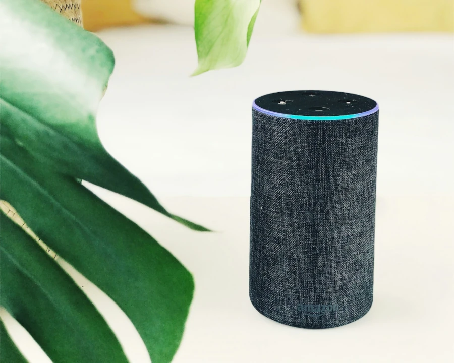Rise of VUIs popular voice assistants