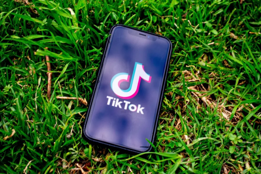 TikTok Content Trends