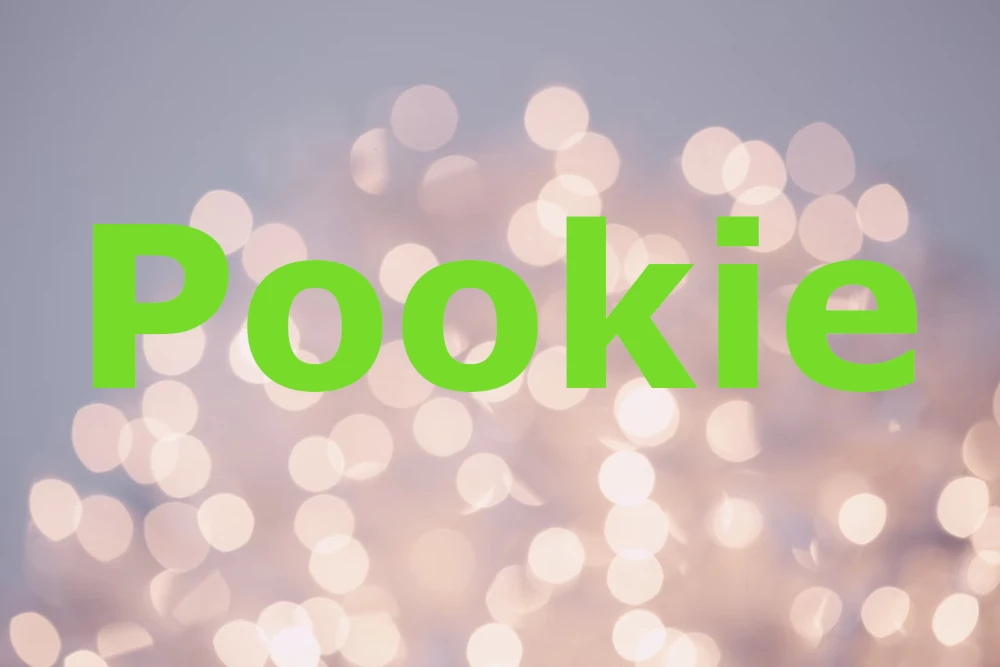 What Is Pookie, Meaning and Origins Explained