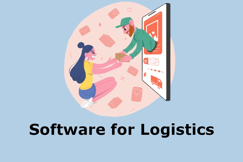 Who Needs Software for Logistics