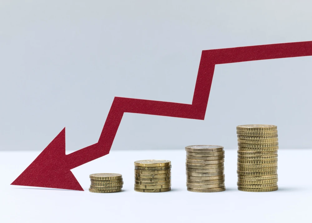 Energy Price Fluctuations