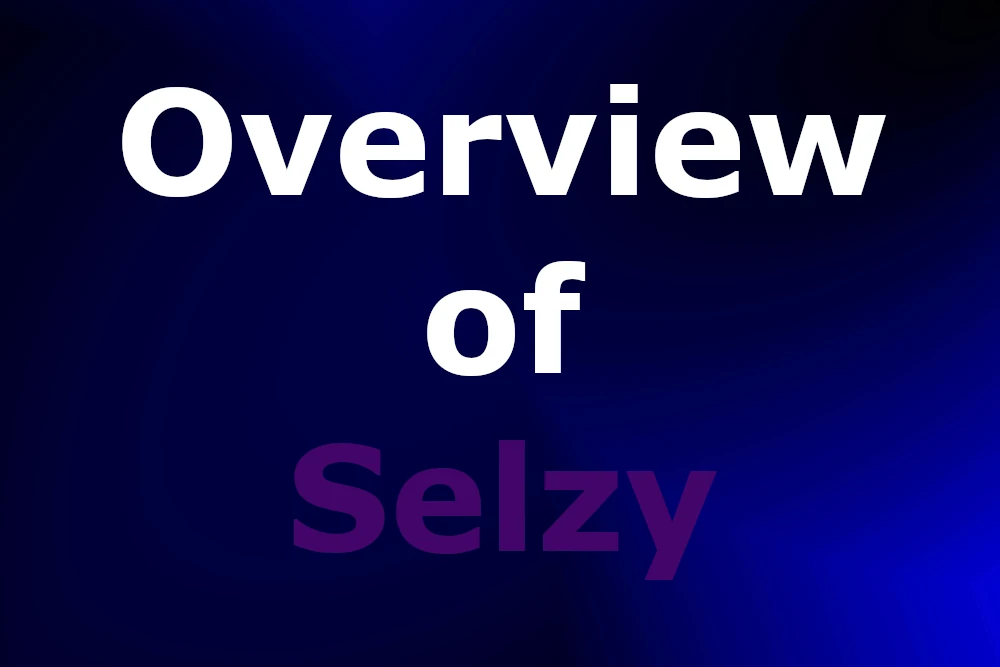 Overview of Selzy
