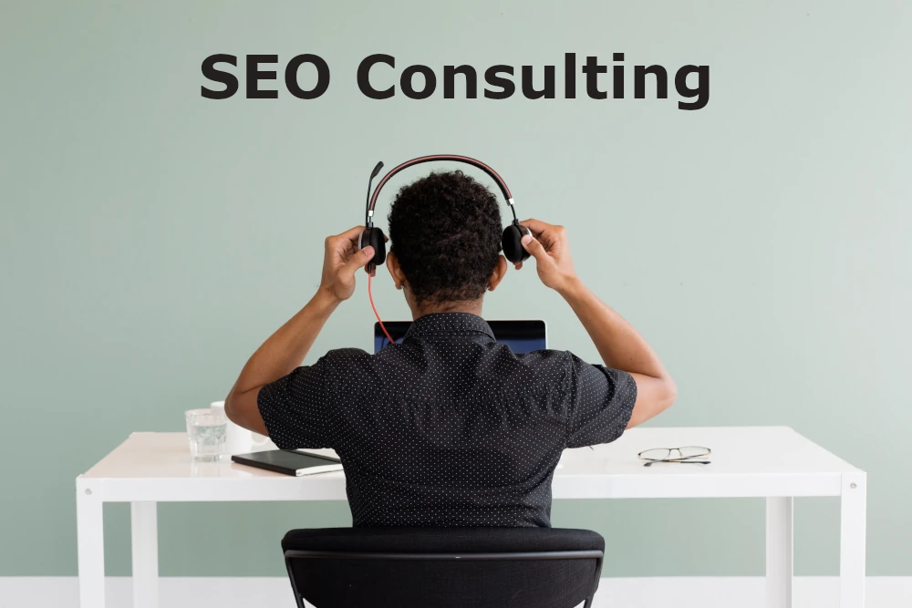 SEO Consulting